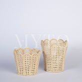 Scaloped Container SM 15x13 Tall Includes Glass Insert NATURAL